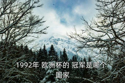 1992年 歐洲杯的 冠軍是哪個(gè) 國家