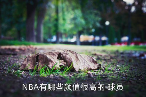 NBA有哪些顏值很高的 球員