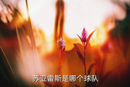 蘇亞雷斯09年在哪個(gè)隊,西班牙球星路易斯蘇亞雷斯染病