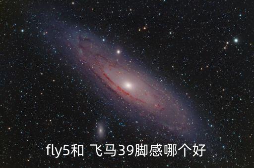 fly5和 飛馬39腳感哪個(gè)好