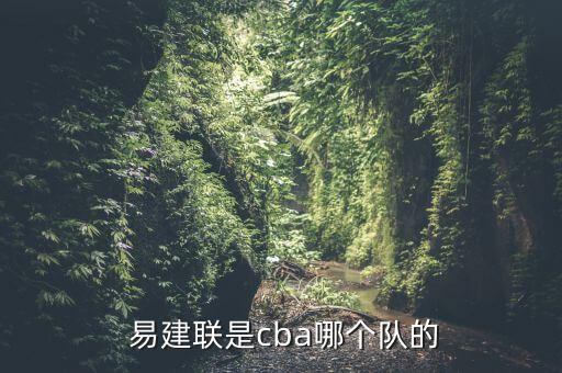  易建聯(lián)是cba哪個(gè)隊的