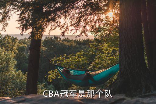 CBA冠軍是那個(gè)隊