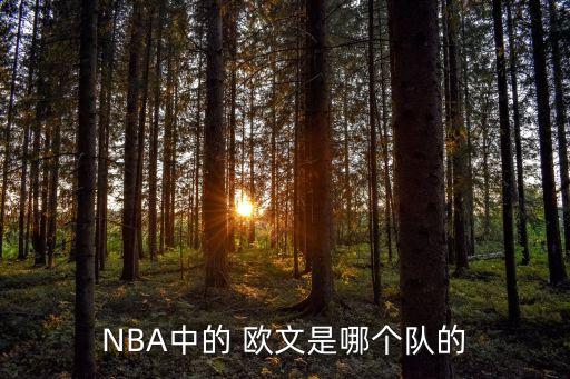 NBA中的 歐文是哪個(gè)隊的