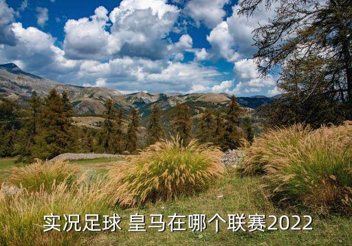  實(shí)況足球 皇馬在哪個聯(lián)賽2022