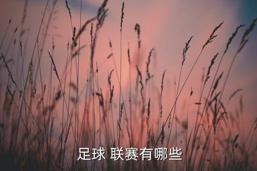  足球 聯(lián)賽有哪些