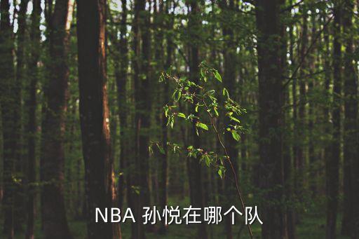 NBA 孫悅在哪個(gè)隊