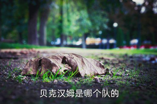 貝克漢姆現在在哪個(gè)隊,英超球星貝克漢姆宣布退役