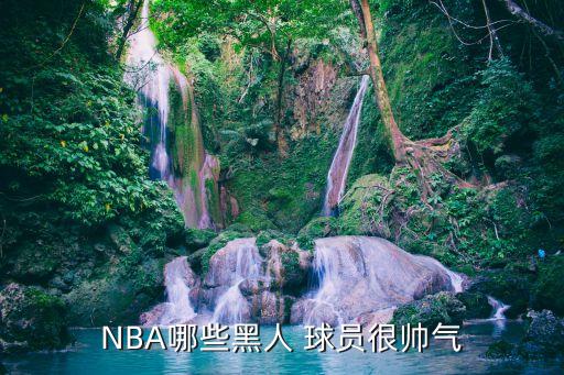 NBA哪些黑人 球員很帥氣