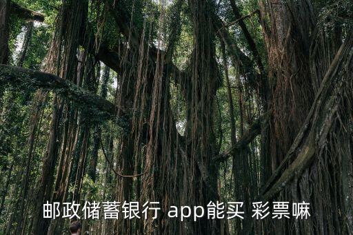 現(xiàn)在哪個彩票app能買,國家不會買彩票在線原因:1下列原因