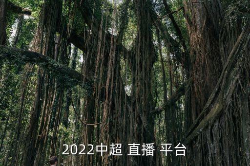 2022中超 直播 平臺