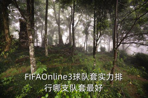 fifa拉姆哪個(gè)賽季強,國服各位置最強名單出爐!