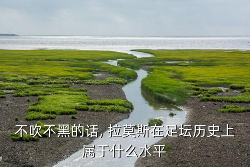 不吹不黑的話(huà), 拉莫斯在足壇歷史上屬于什么水平