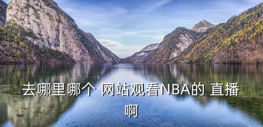 哪個(gè)網(wǎng)站nba直播嗎,nba直播教學(xué)網(wǎng)絡(luò )要求高網(wǎng)絡(luò )不然會(huì )卡