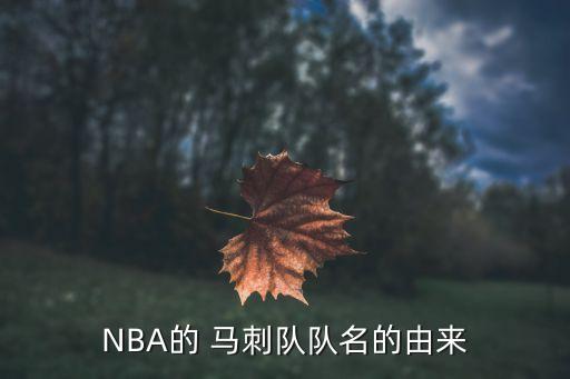 NBA的 馬刺隊隊名的由來