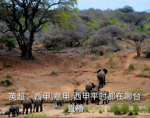 英超、西甲,意甲,西甲平時(shí)都在哪臺 直播