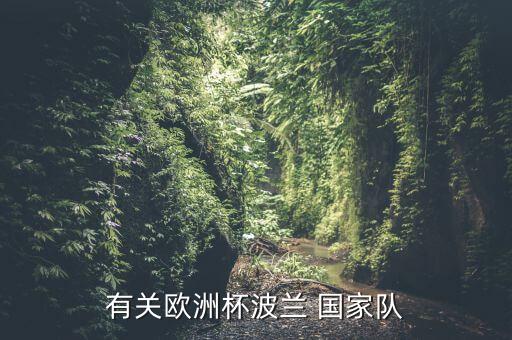 有關(guān)歐洲杯波蘭 國家隊(duì)