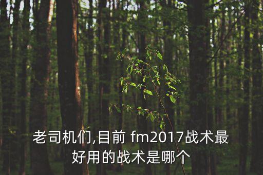 fm2017哪個(gè)版本最好,財富管理學(xué)院2021財政預算案