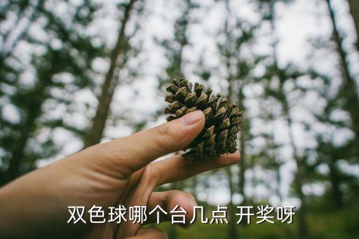 雙色球開獎(jiǎng)是哪個(gè)臺(tái)?,雙色球開獎(jiǎng)哪家電視臺(tái)播出?