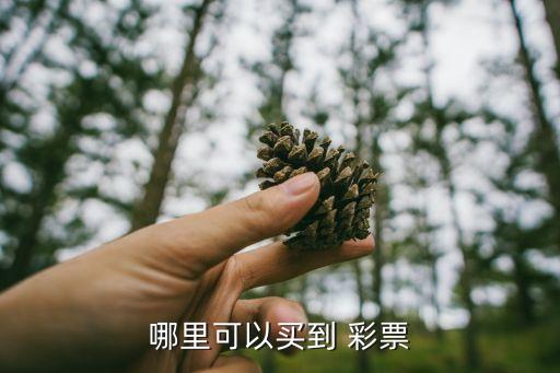 彩票在哪個(gè)網(wǎng)站能買(mǎi),你好，去彩票station那里買(mǎi)彩票?