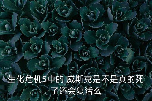 生化危機5中的 威斯克是不是真的死了還會(huì )復活么