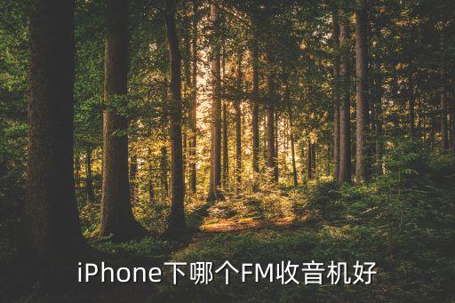 iPhone下哪個FM收音機好