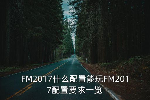 FM2017什么配置能玩FM2017配置要求一覽