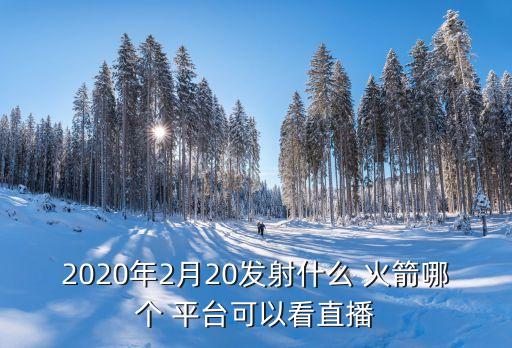 2020年2月20發(fā)射什么 火箭哪個(gè) 平臺(tái)可以看直播