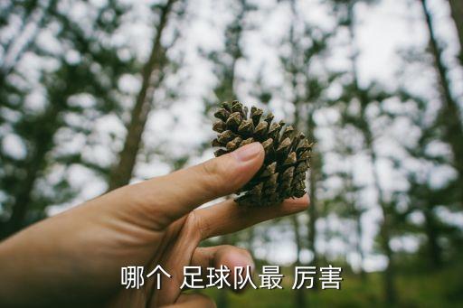 歐洲足球哪個(gè)隊最厲害,我認為歐洲足球的德國概念是最先進(jìn)的