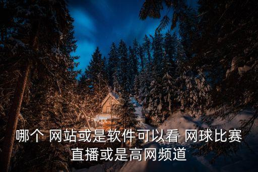 哪個(gè) 網(wǎng)站或是軟件可以看 網(wǎng)球比賽直播或是高網(wǎng)頻道