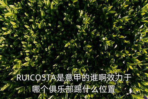 RUICOSTA是意甲的誰(shuí)啊效力于哪個(gè)俱樂(lè )部踢什么位置