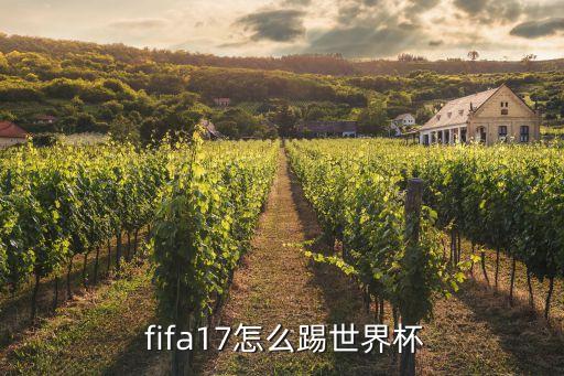  fifa17怎么踢世界杯