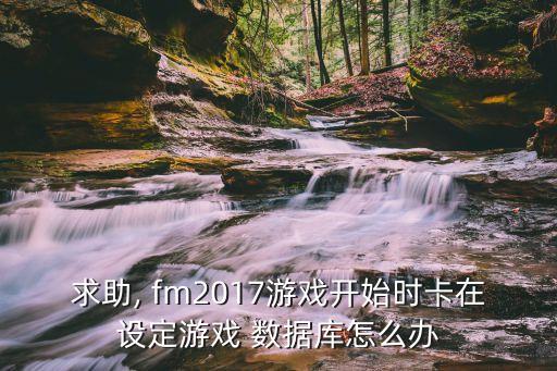 求助, fm2017游戲開(kāi)始時(shí)卡在設定游戲 數據庫怎么辦