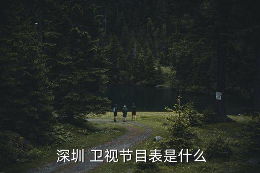  深圳 衛視節目表是什么