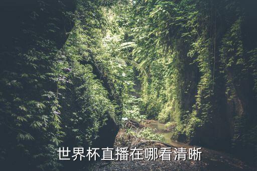 世界杯在哪個(gè)臺播,粵語(yǔ)直播粵語(yǔ)解說(shuō)粵語(yǔ)賽事