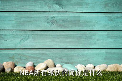 達拉斯飛翼是哪個(gè)隊,nba球隊簡(jiǎn)介:達拉斯小牛隊