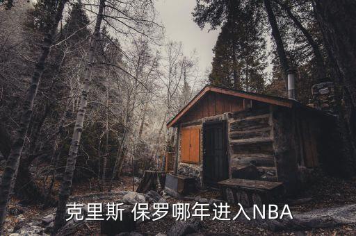  克里斯 保羅哪年進(jìn)入NBA