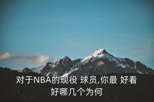 對于NBA的現役 球員,你最 好看好哪幾個(gè)為何