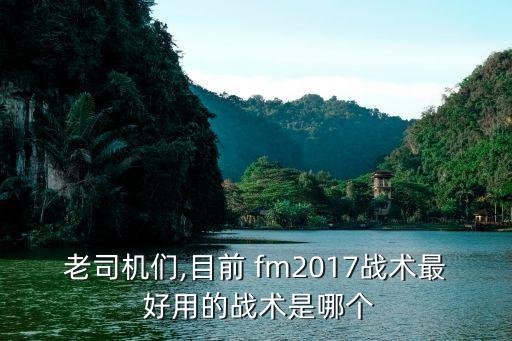 fm2017哪個(gè)中衛好用,三中衛垃圾中的創(chuàng  )意回顧