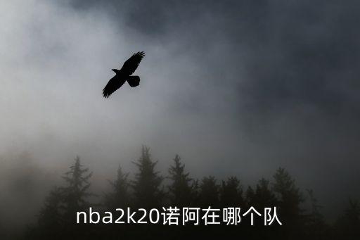 nba2k20諾阿在哪個(gè)隊(duì)