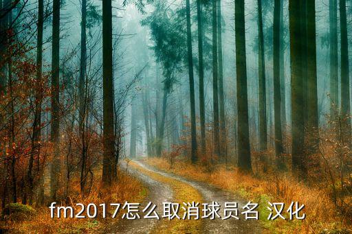  fm2017怎么取消球員名 漢化