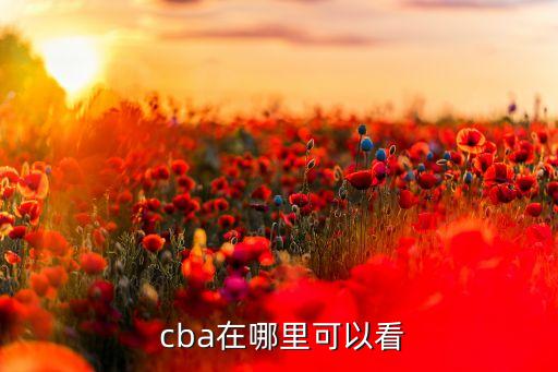 哪個(gè)視頻能看到cba直播,如何在電腦上觀(guān)看cba直播?