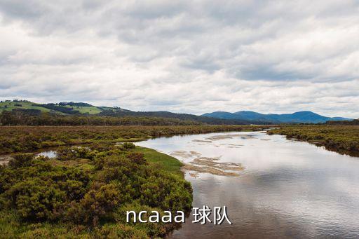 圣十字是哪個(gè)球隊,克蘇魯之盾加入ncaa需要四名學(xué)生運動(dòng)隊