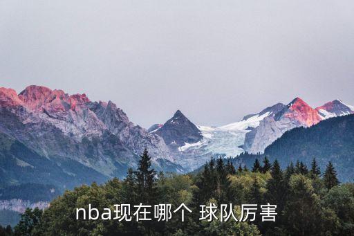 nba現(xiàn)在哪個(gè) 球隊(duì)厲害