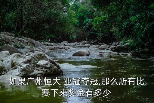 如果廣州恒大 亞冠奪冠,那么所有比賽下來獎金有多少