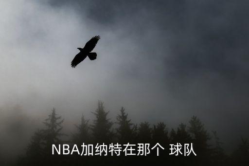 NBA加納特在那個(gè) 球隊