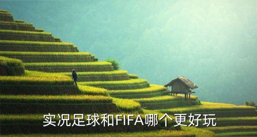  實(shí)況足球和FIFA哪個(gè)更好玩