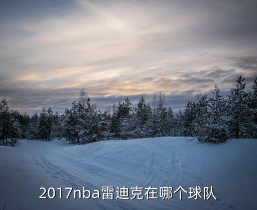 2017nba雷迪克在哪個(gè)球隊(duì)