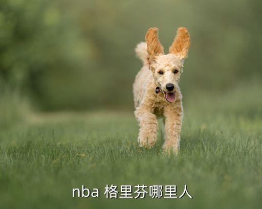  nba 格里芬哪里人