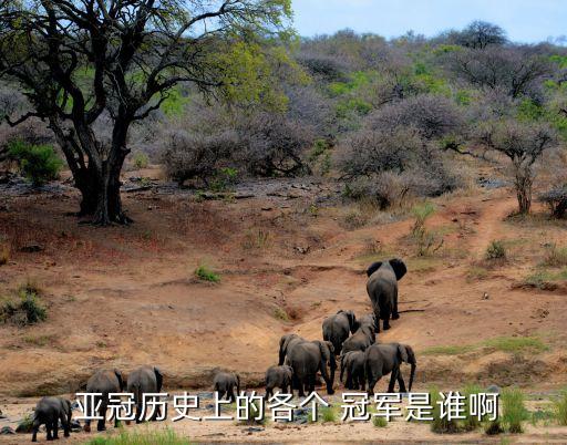 2014亞冠冠軍是哪個(gè)隊,恒大淘寶足球俱樂(lè )部六次獲中超冠軍