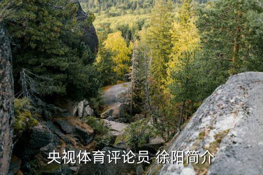 央視體育評論員 徐陽(yáng)簡(jiǎn)介